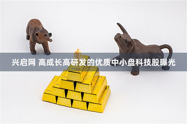 兴启网 高成长高研发的优质中小盘科技股曝光