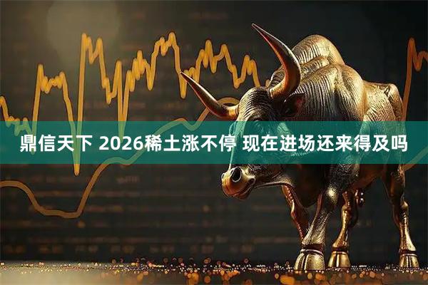 鼎信天下 2026稀土涨不停 现在进场还来得及吗