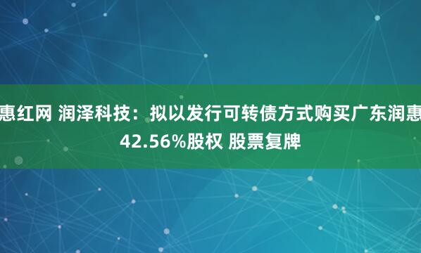 惠红网 润泽科技：拟以发行可转债方式购买广东润惠42.56%股权 股票复牌