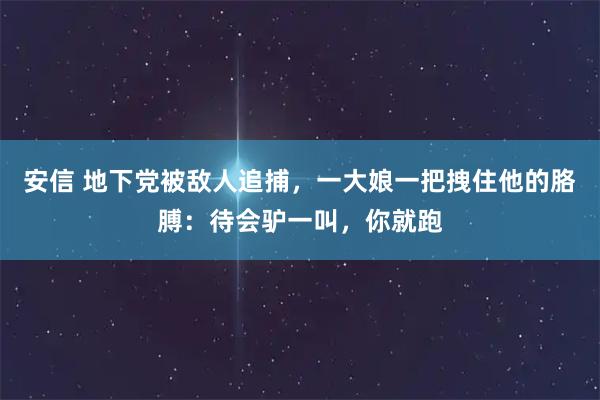 安信 地下党被敌人追捕，一大娘一把拽住他的胳膊：待会驴一叫，你就跑