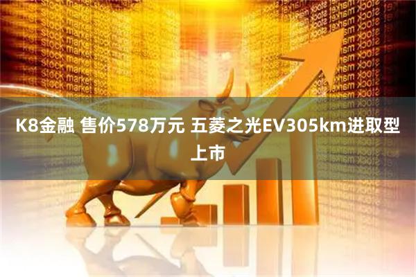 K8金融 售价578万元 五菱之光EV305km进取型上市